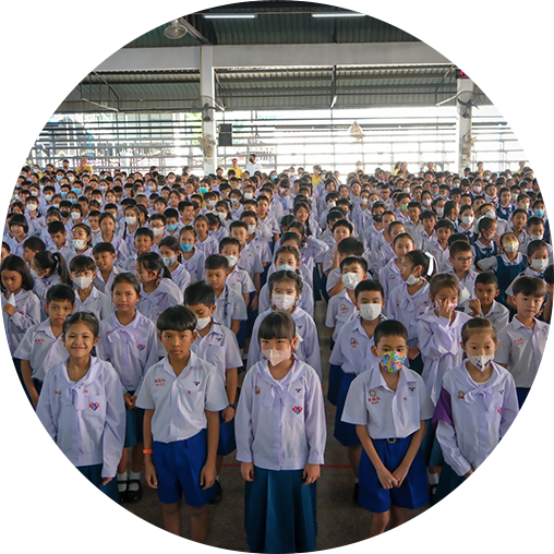 หลักสูตร IEP ประถม